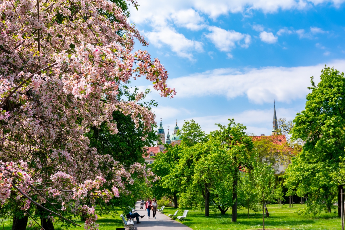 Prague, Czech Republic - May 2019: Vojanovy Sady gardens in Mala Strana in spring